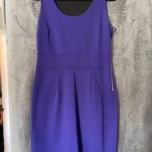 Banana Republic Fitted Dress